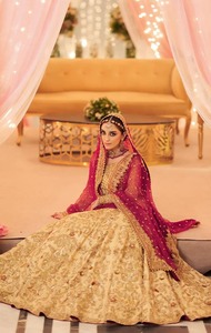 <b>Blush</b> Embellished Net Collection 3 piece Unstitched / Stitched - Product Image 3