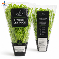 Manchons en BOPP/CPP micro-perforés imprimés sur mesure pour laitues, sacs d'emballage coniques en plastique à ouverture supérieure pour légumes frais