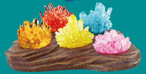 Diy montado experimento de ciencia <span class=keywords><strong>kit</strong></span> de cristal de la plantación de la ciencia juguete para niños 6 + - Product Image 3