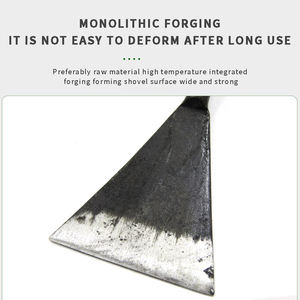 Prix usine ménage extérieur général désherbage et fleur outils à main transplantation <span class=keywords><strong>ail</strong></span> creuser légumes sauvages petite pelle - Product Image 4