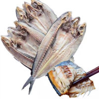 Fournisseur chinois Vente en gros de haute qualité Maquereau chinois séché au soleil Maquereau à pois bleus Poisson 10KG Approvisionnement commercial