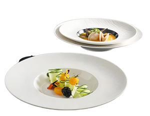 Service de vaisselle en porcelaine écologique pour restaurants et hôtels – Couleur et taille personnalisables – Design minimaliste 9 pouces - Product Image 1