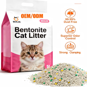 Hızlı Teslimat Az Tozlanma Yüksek Emicilik Güçlü Koku Kontrolü Çevre Dostu Hızlı Topaklanan 5KG Bentonit Kedi Kumu - Product Image 1