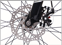 Vélo VTT Électrique 29 Pouces pour Commandes en Gros, Batterie Lithium 36V 13Ah, 21 Vitesses, Freins à Disque, 250W, Vélo Tout-Terrain, Entrepôt UE