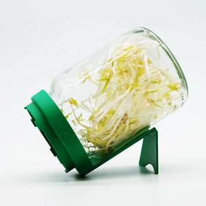 Juego <span class=keywords><strong>de</strong></span> plantas orgánicas con germinación, cerámica para <span class=keywords><strong>brotes</strong></span> con tamiz, germinación, germinación, cultivo <span class=keywords><strong>de</strong></span> siembra - Product Image 5