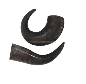 Corne imboulé naturel en forme de Viking, 5 m, à boire, style Viking, vente en gros - Product Image 5