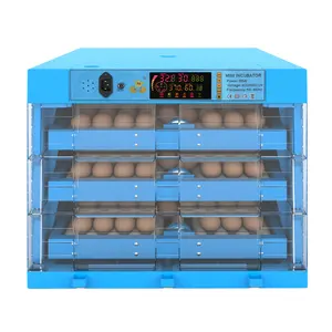 Incubadora automática de huevos de aves de corral, fuente de alimentación Dual de 12V y 220V