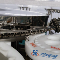 Ligne de production avancée de machine de remplissage de bouteilles de comptage automatique de liquide oral 5-25ml