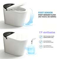 WC intelligent monobloc à lavage automatique, pulvérisation d'eau, réservoir dissimulé, cuvette allongée pour usage domestique