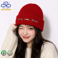 Gorro de Punto Promocional de Invierno con Bordado de Dachshund, Diseño Personalizado, Puño Acanalado, Venta al por Mayor, Embalaje de Marca, OEM