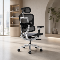 Chaise de bureau ergonomique à dossier haut en maille avec cadre en alliage d'aluminium, accoudoirs 8D et soutien lombaire réglable pour une assise prolongée
