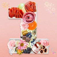 Plateau de charcuterie en plastique lavable et réutilisable, de qualité alimentaire, à base végétale, en forme de chiffre, pour gâteaux et sushis, idéal pour les anniversaires