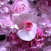 DIY Romantische Anpassbare Seidenblumen-Wand 240cm*60cm Umweltfreundlicher 3D-Hintergrund Rosa Rosen Rote Schmetterlinge Orchideen Hochzeitsdekoration