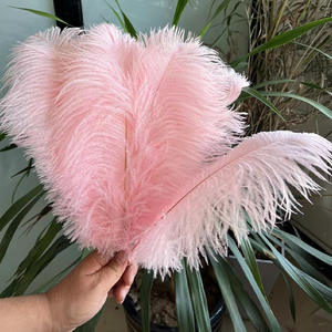 卸売 天然ダチョウの羽 DIY服飾装飾用 熱販売中 豪華な羽根 - Product Image 4