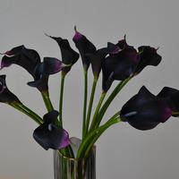 Bunga Calla Lily Buatan Berkualitas Tinggi dengan Sentuhan Realistis dari EVA, Warna Putih untuk Dekorasi Pernikahan, Pesta, dan Rumah