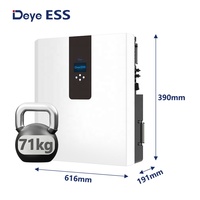 Deye ESS RW-F5.3-2H3 Thiết kế phổ biến tốt nhất Pin lithium năng lượng mặt trời lưu trữ LiFePO4 Pin