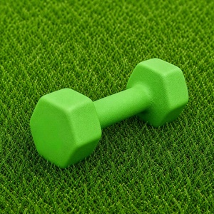 Hot Sales Fitness Equipment Home <b>Hex</b> Neoprene <b>Dumbbell</b> <b>Set</b> for Women and Kids - Product Image 3