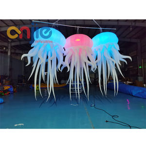 Méduse gonflable éclairée <span class=keywords><strong>Alice</strong></span> <span class=keywords><strong>au</strong></span> <span class=keywords><strong>pays</strong></span> <span class=keywords><strong>des</strong></span> <span class=keywords><strong>merveilles</strong></span> - Product Image 1