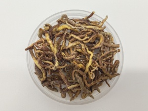 อาหารปลาแบบแห้ง ผลิตจากไส้เดือนดิน แช่แข็งและอบแห้ง ให้สารอาหารและโปรตีนสูง - Product Image 5