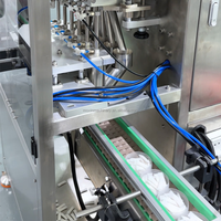 Machine d'emballage de snus de haute précision approuvée par la FDA Moxin, ligne de production sécurisée de sachets de nicotine pour le marché local américain