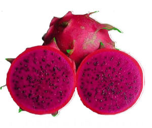 Premium kırmızı-fleshed ejderha meyve özü 99% saf gıda sınıfı ejderha meyve tozu 1kg çanta - Product Image 2