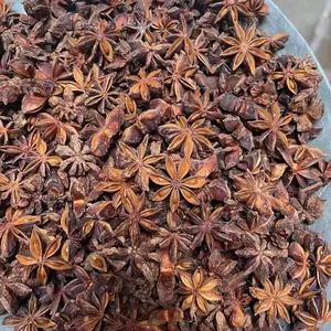 ZZH China natural raw material star anise seeds spice dry star anise