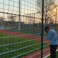 Universiteitsgebied 868 Twin Wire Yard Fence Hoge Dichtheid Gelaste Gaasomheining 6ft PVC Gecoate Ranch Campus Woon-/Leszone