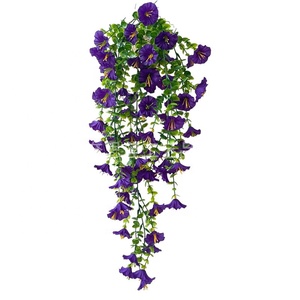 Vigne de rose grimpante décorative 'English Arizona Arch' pour 'Seven Together', 'Lilac Mini' <span class=keywords><strong>et</strong></span> 'Vigne de rose grimpante noire' - Product Image 3