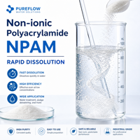 Poudre de traitement de floculant polyacrylamide non ionique pour l'extraction de l'or