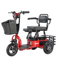 Tricycle Électrique Pliant à Pièces Détachées, Chaise de Mobilité de Loisirs, Moteur Brushless, Autonomie 30km, Pour Personnes Handicapées et Âgées, Propulsion Arrière, Ouvert