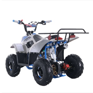 Quadricycle Tao Motor, nouveau design, ATV pas cher pour enfants, 110cc, à vendre, <span class=keywords><strong>buggy</strong></span> de plage - Product Image 6
