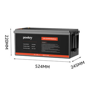 3000サイクル12.8V 200Ah LiFePO4バッテリー内蔵BMS RVエネルギー貯蔵ゴルフカート用 - Product Image 1