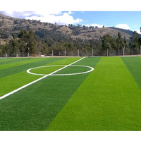 Fußballplatz Teppich 50 mm Fußball Futsal Rasen Mit CE-Zertifikat Kunstrasen Hallen fußballfeld