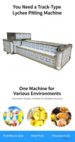 PLC-gestuurde lychee-, longan-, abrikozen- en kersenontpitter/ontkerningsmachine met tandwielmotor 220/380V 2.2KW