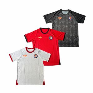 Nouvelle saison 2026 – Maillot de football AFC Al-Nashama (Qatar/Liban/Arabie Saoudite) – Modèle Amir Dib/Amer Shafi – Taille XL - Product Image 2