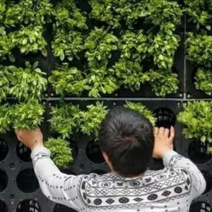 Wall <b>Planter</b> Modular Vertical Garden Green Wall System <b>Plastic</b> <b>Planters</b> For Flower And Green Plants Modern Design - Product Image 3