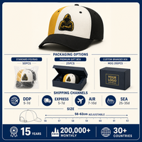 Casquette de baseball personnalisée avec logo tricolore, brodée, en coton, 6 panneaux, visière incurvée réglable, streetwear, vente en gros, OEM, faible MOQ
