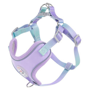 2025 produk baru diskon besar kalung leher kucing anjing peliharaan Kawaii harness untuk luar ruangan - Product Image 6