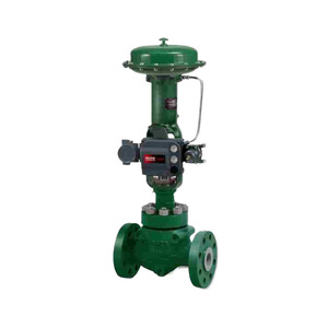 Vanne de régulation Fisher à proportionnalité constante pour vapeur et eau haute pression, usage en centrale électrique - Product Image 5