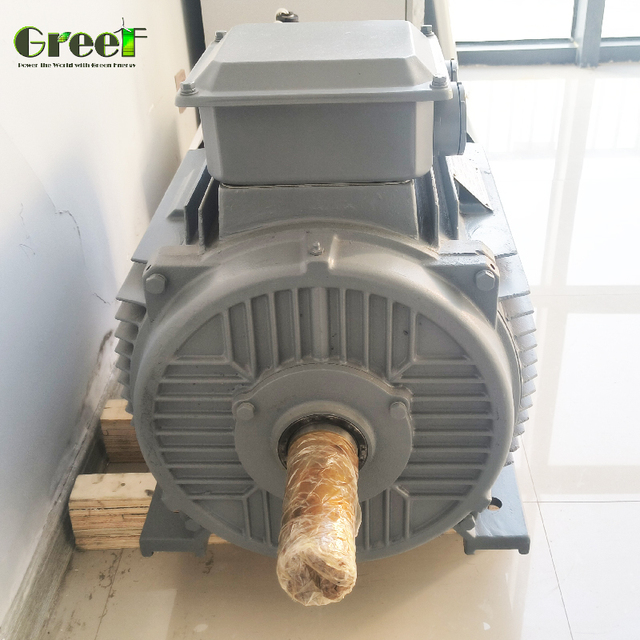 1kW 10kW 100kW 1mW Permanent Magnetic Generator, Low RPM High Torque PMG
