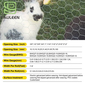Bwg21x3/4 "mạ kẽm lục giác dây lưới gà dây lưới hàng rào cuộn cho gia cầm lưới - Product Image 2