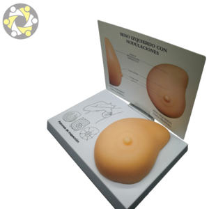 Ciência Médica Silicone Feminino Peito Anatomia Modelo para Medical School Uso Educacional-Modelo Anatômico - Product Image 5