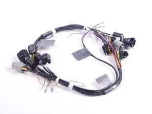Harnais et assemblages de câbles conformes RoHS pour petits appareils électroménagers (ODM/OEM) - Product Image 2