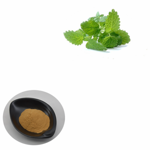 Penjualan Laris Tiongkok Ekstrak Lemon Balm/<span class=keywords><strong>Melissa</strong></span> <span class=keywords><strong>Officinalis</strong></span> - Product Image 3