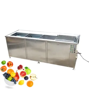 Automatische Knoblauch-Reinigungsmaschine Apfel Banane Gemüse Waschgerät Obst-Reinigungsmaschine