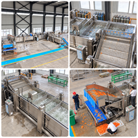 Continue productielijn voor het snijden, reinigen, luchtdrogen en vacuümverpakken van wortelen, radijsjes, aardappelen en cassave.