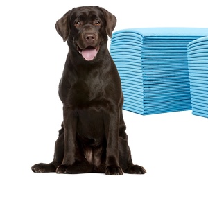 En gros, Alèses d'apprentissage de la propreté jetables à quatre coins adhésives, antidérapantes, super absorbantes, anti-reflux et imperméables - Product Image 1