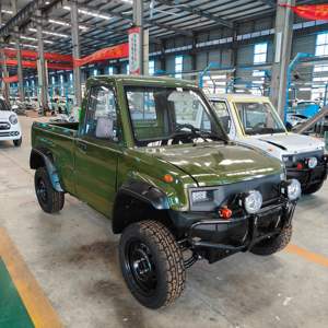 Mini camionnette électrique de fabrication chinoise pour le transport, écoénergétique, autonomie <100 km, poids léger 780 kg, véhicule neuf - Product Image 2