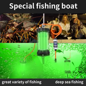 مصابيح إضاءة تحت الماء بإضاءة ليد توهج لأسفل مصابيح 800 وات و1500 وات مصابيح إضاءة مضادة للماء مزدوجة IP65 لصيد الأسماك والسمون معدات مزرعة الأسماك الحبار