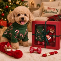 Coffret Cadeau Noël 2026 : Ensemble Collier et Quatre Articles pour Chiens – Conception Confortable pour l'Hiver – Idéal comme Cadeau pour Chiens